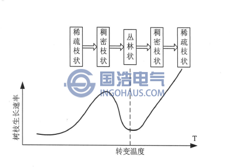 電樹(shù)枝形狀隨電壓的變化規(guī)律